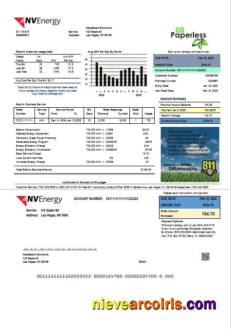 USA Nevada NV Energy business utility bill